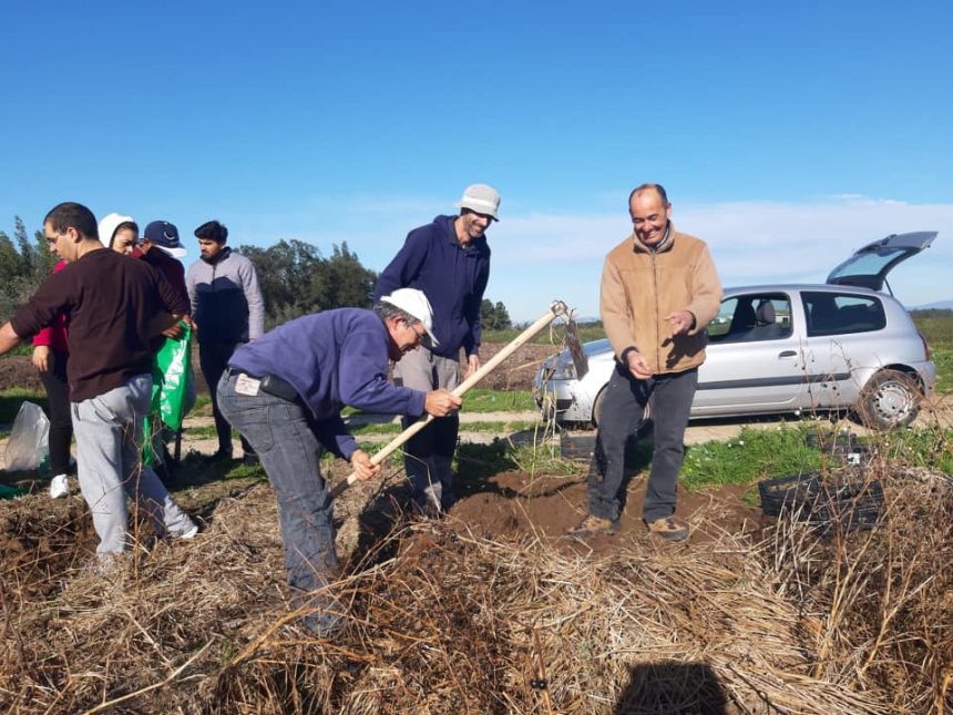 Agricultor dá batata doce a instituições