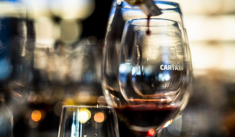 Adega do Cartaxo assinala 70 anos com 1954 garrafas de um tinto especial