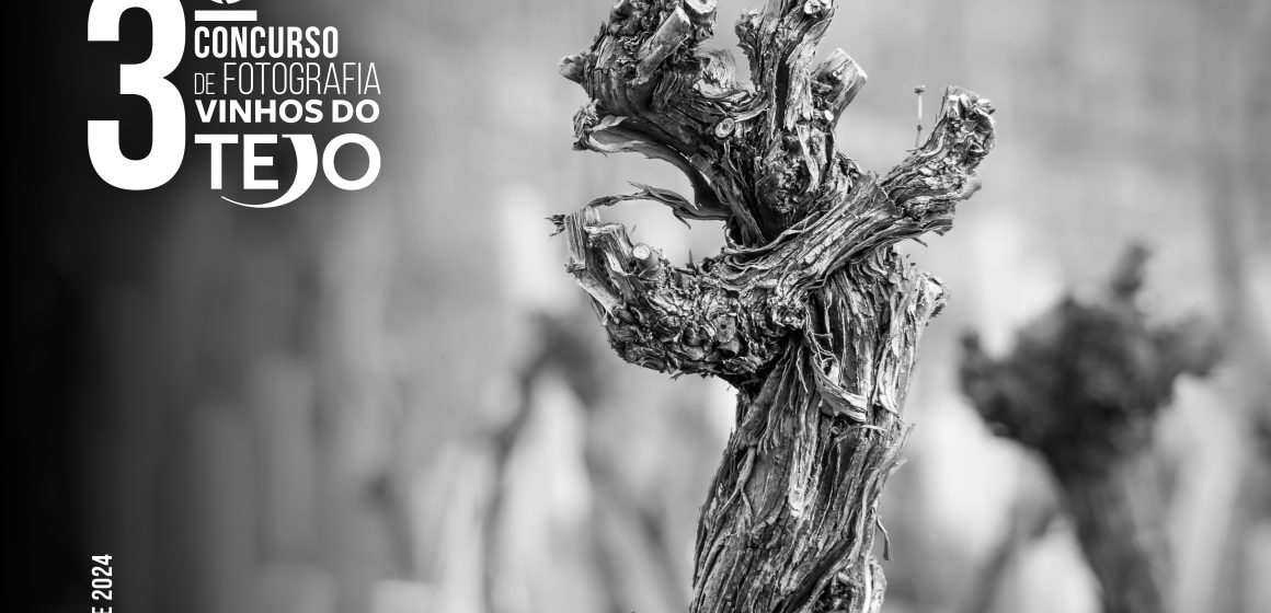 Vinhos do Tejo abrem inscrições para 3.º Concurso de Fotografia