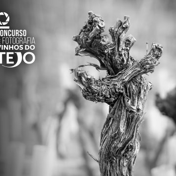 Vinhos do Tejo abrem inscrições para 3.º Concurso de Fotografia
