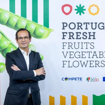 Exportações de frutas, legumes e flores crescem 13,4% no primeiro semestre