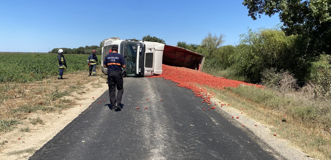 Camião de transporte de tomate tomba e corta estrada do campo