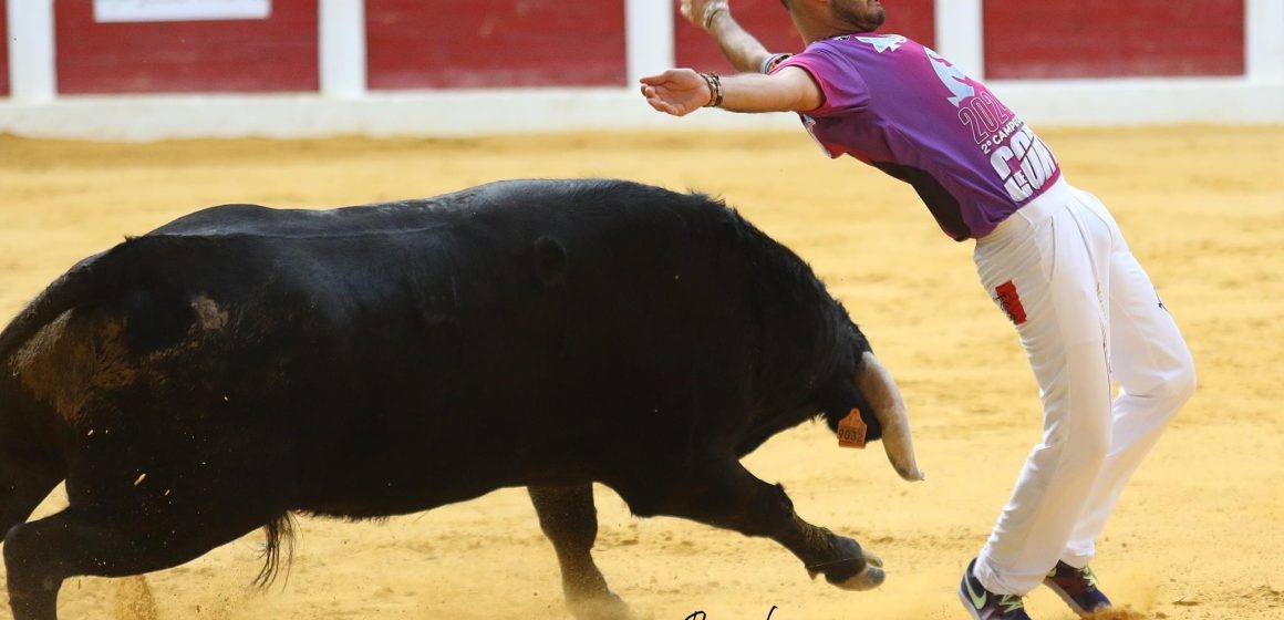 “Poderão contar com um espetáculo cheio de emoção e adrenalina”