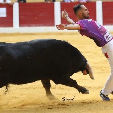 “Poderão contar com um espetáculo cheio de emoção e adrenalina”