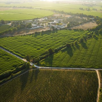 Quinta da Lagoalva reforça aposta na sustentabilidade com certificação e compromisso de todos