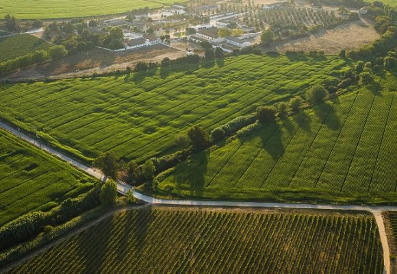 Quinta da Lagoalva reforça aposta na sustentabilidade com certificação e compromisso de todos