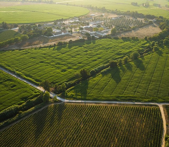 Quinta da Lagoalva reforça aposta na sustentabilidade com certificação e compromisso de todos