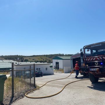 Incêndio em aviário mobiliza perto de 50 operacionais em Paço dos Negros