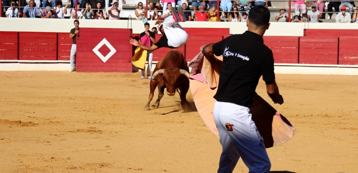 Recortadores: Mais uma tarde de êxito na Arena d’Almeirim